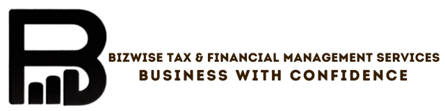 Bizwise Consultants logo
